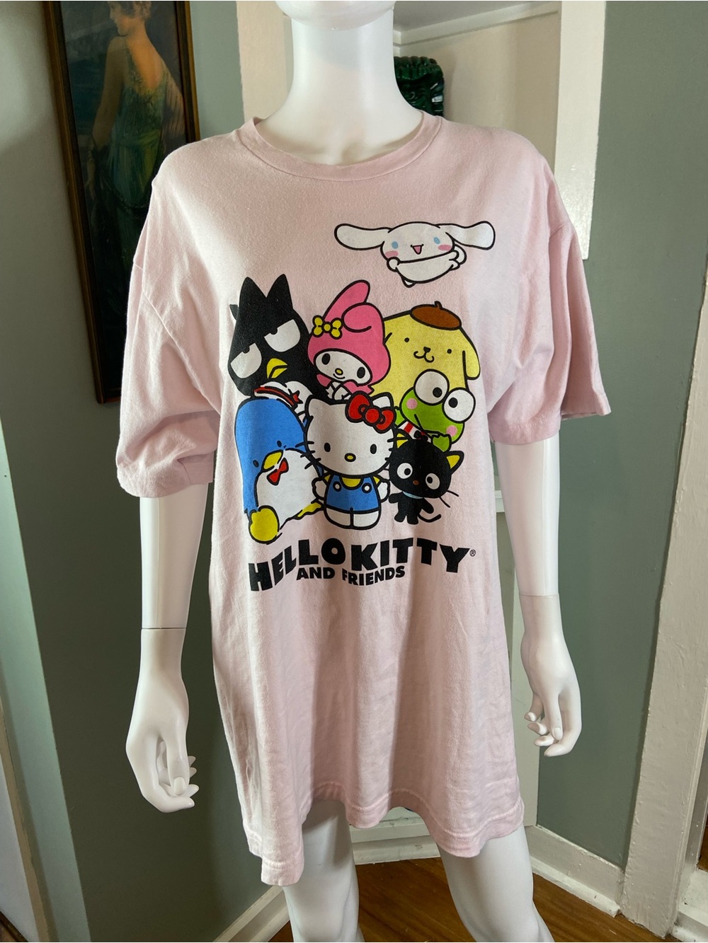 Hello Kitty & Friends Light Pink Short Sleeve Tee T-Shirt Sanrio XLarge XL